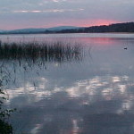 bg451-300×1501
